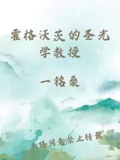 霍格沃茨的圣光学教授