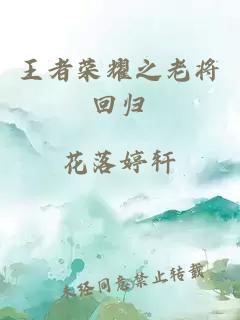 王者荣耀之老将回归