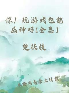 惊！玩游戏也能成神吗[全息]