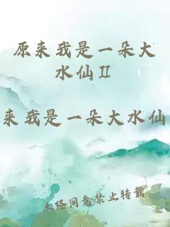 原来我是一朵大水仙Ⅱ