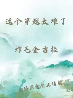 这个穿越太难了