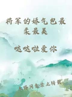 将军的娇气包最柔最美
