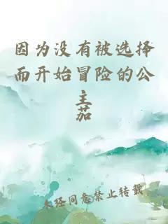 因为没有被选择而开始冒险的公主