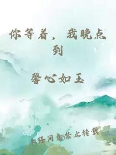 你等着，我晚点到