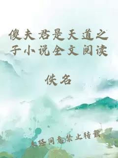 傻夫君是天道之子小说全文阅读