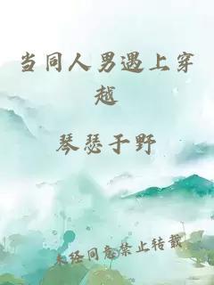 当同人男遇上穿越