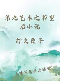 第九艺术之书重启小说