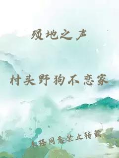 殒地之声
