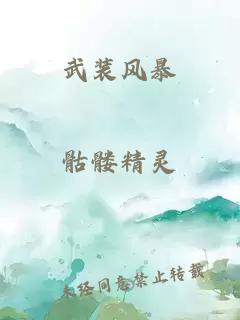 武装风暴
