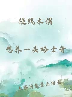提线木偶