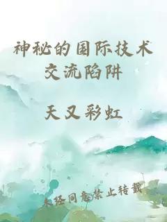 神秘的国际技术交流陷阱