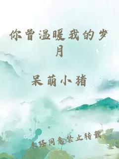 你曾温暖我的岁月