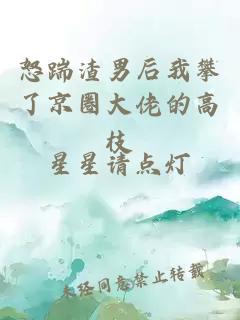 怒踹渣男后我攀了京圈大佬的高枝
