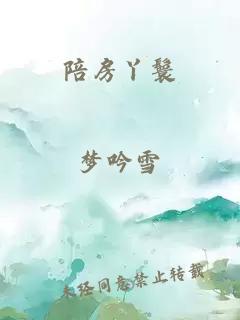 陪房丫鬟