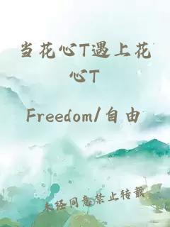 当花心T遇上花心T