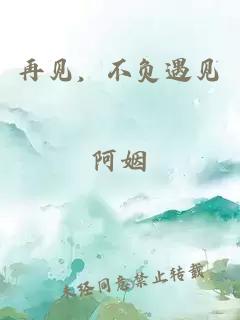 再见，不负遇见