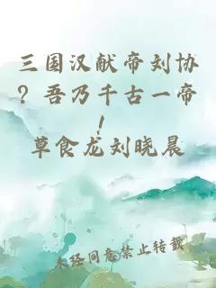 三国汉献帝刘协？吾乃千古一帝！