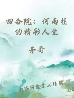 四合院：何雨柱的精彩人生