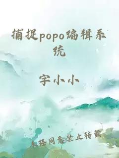 捕捉popo编辑系统