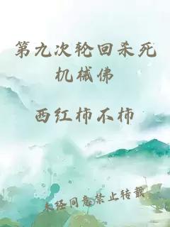 第九次轮回杀死机械佛