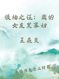 领袖之证：我的女友黑寡妇