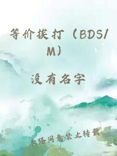 等价挨打（BDS/M）