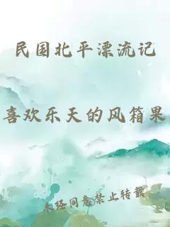 民国北平漂流记