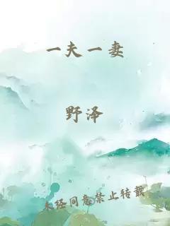 一夫一妻