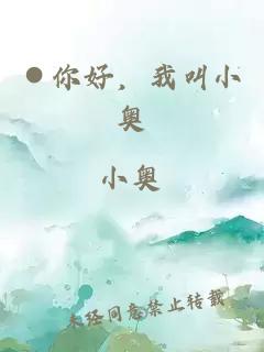 ●你好，我叫小奥