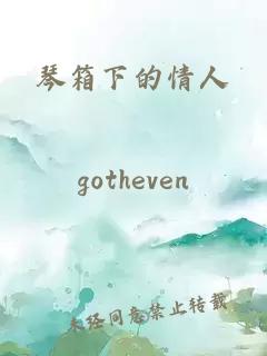 琴箱下的情人