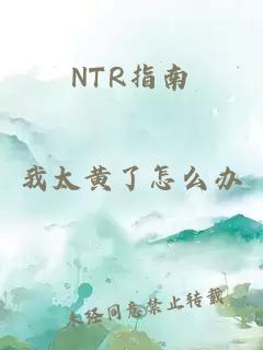 NTR指南