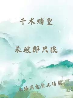 千术赌皇
