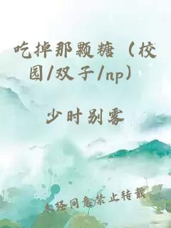 吃掉那颗糖（校园/双子/np）
