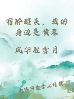 宿醉醒来，我的身边是黄蓉