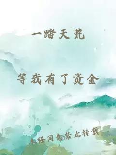 一踏天荒