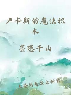 卢卡斯的魔法积木