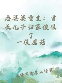恶婆婆重生：首长儿子归家傻眼了