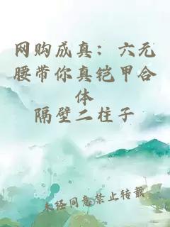 网购成真：六元腰带你真铠甲合体