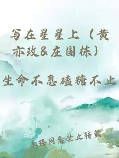 写在星星上（黄亦玫&庄国栋）