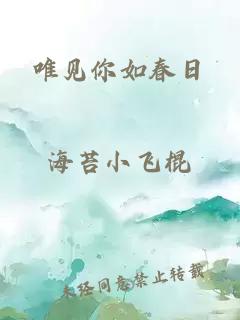 唯见你如春日