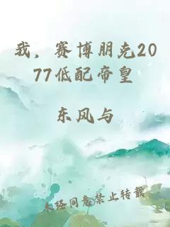 我，赛博朋克2077低配帝皇