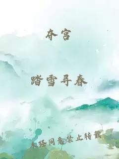 夺宫