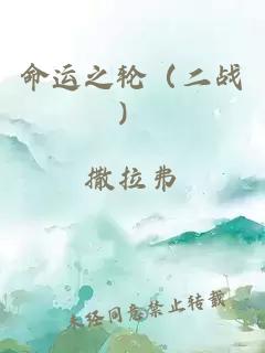 命运之轮（二战）