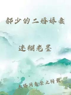 郝少的二婚娇妻