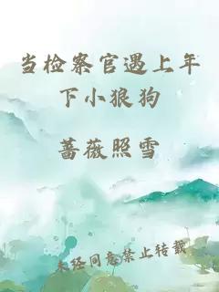 当检察官遇上年下小狼狗