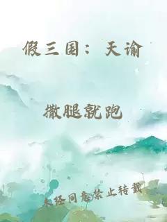 假三国：天谕