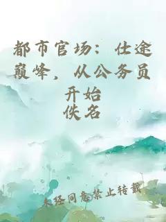 都市官场：仕途巅峰，从公务员开始