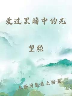 爱过黑暗中的光