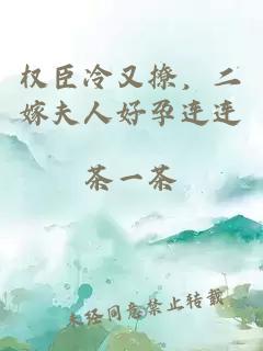 权臣冷又撩，二嫁夫人好孕连连