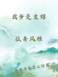 我爹是袁绍